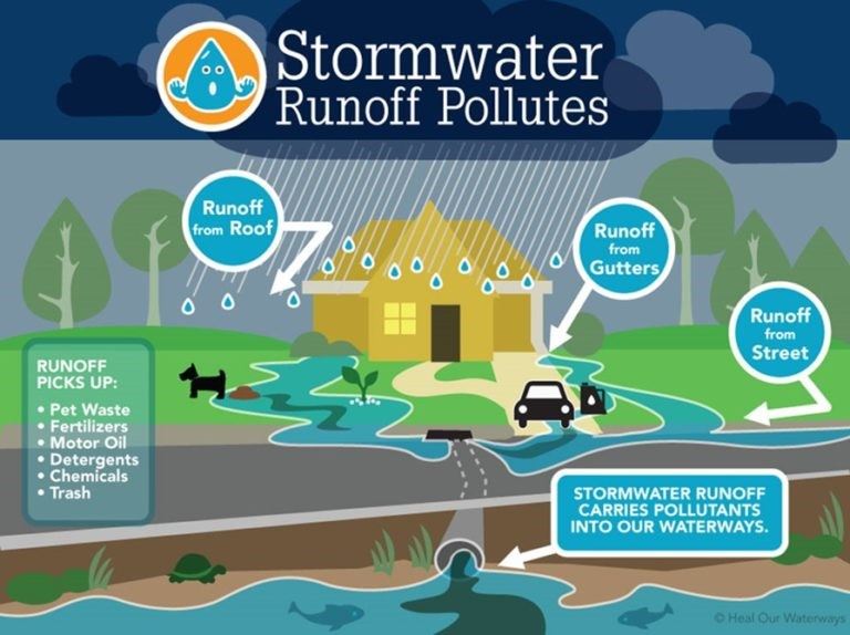 Stormwater Runoff Pollutes Graphic